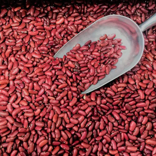 Haricots rouges bio FRANCE