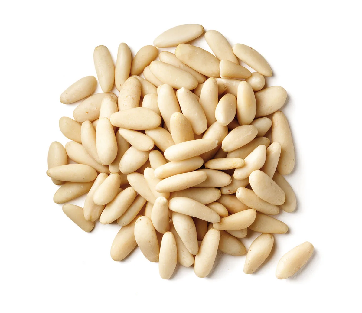 Pignons de pin bio ESPAGNE