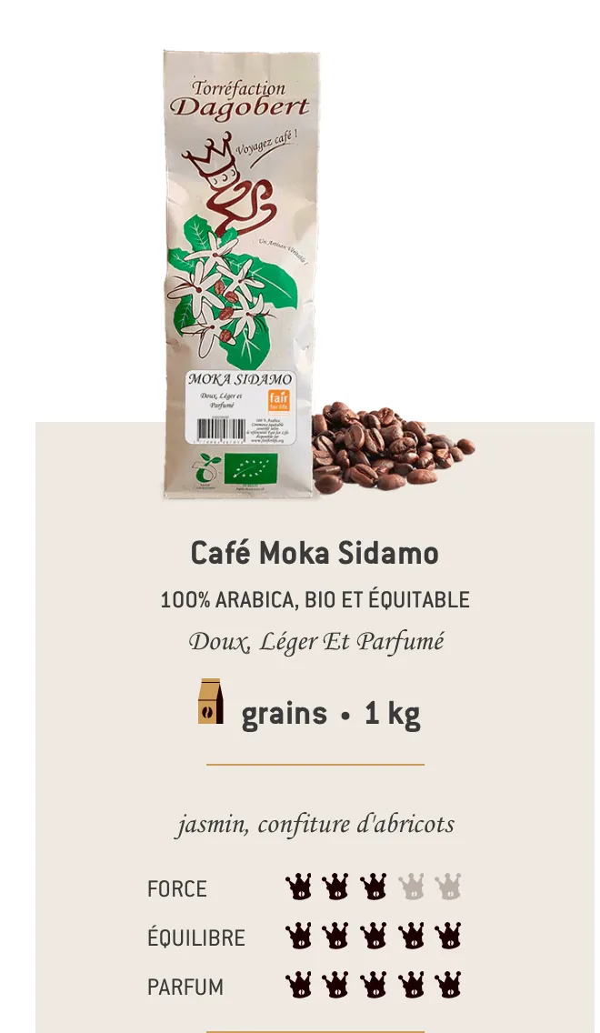 Café grain Sidamo BIO Dagobert