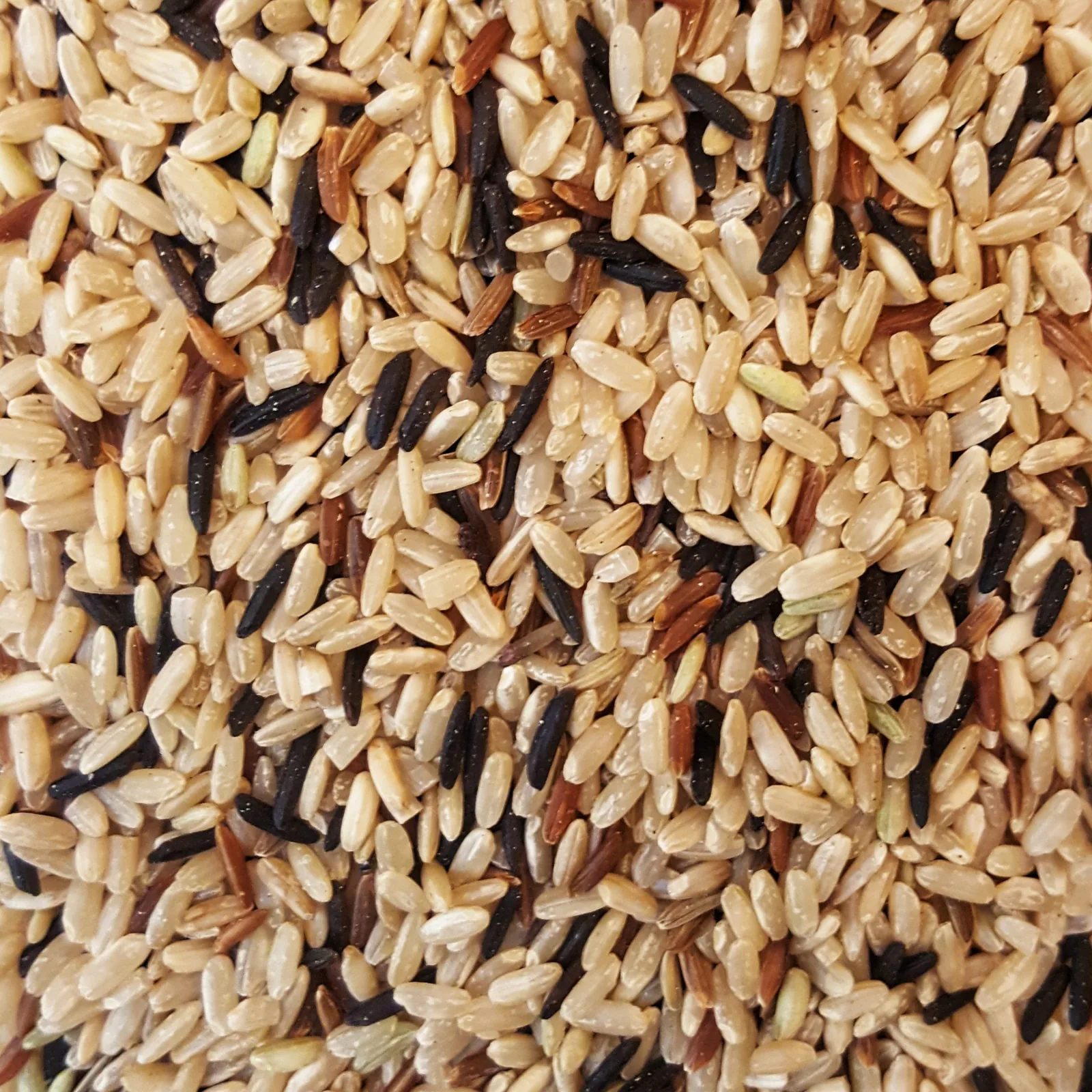 Trio de riz de Camargue bio